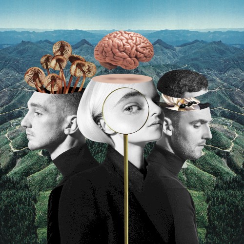 Clean Bandit Feat. Zara Larsson